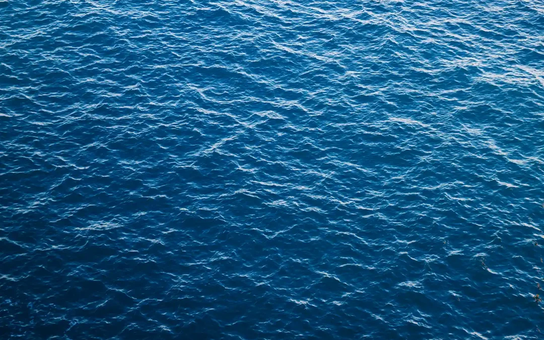 Invisible Waste: Unveiling Microplastic Pollution