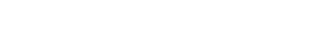 DCC Logo Reversed Trans Dunedin City Council Logo
