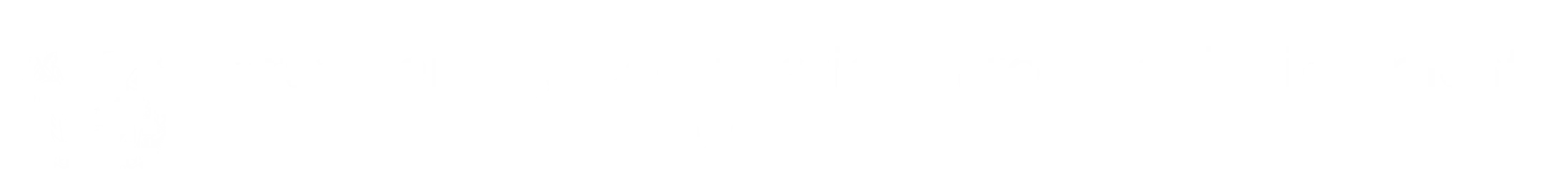 PCE logo white PCE logo